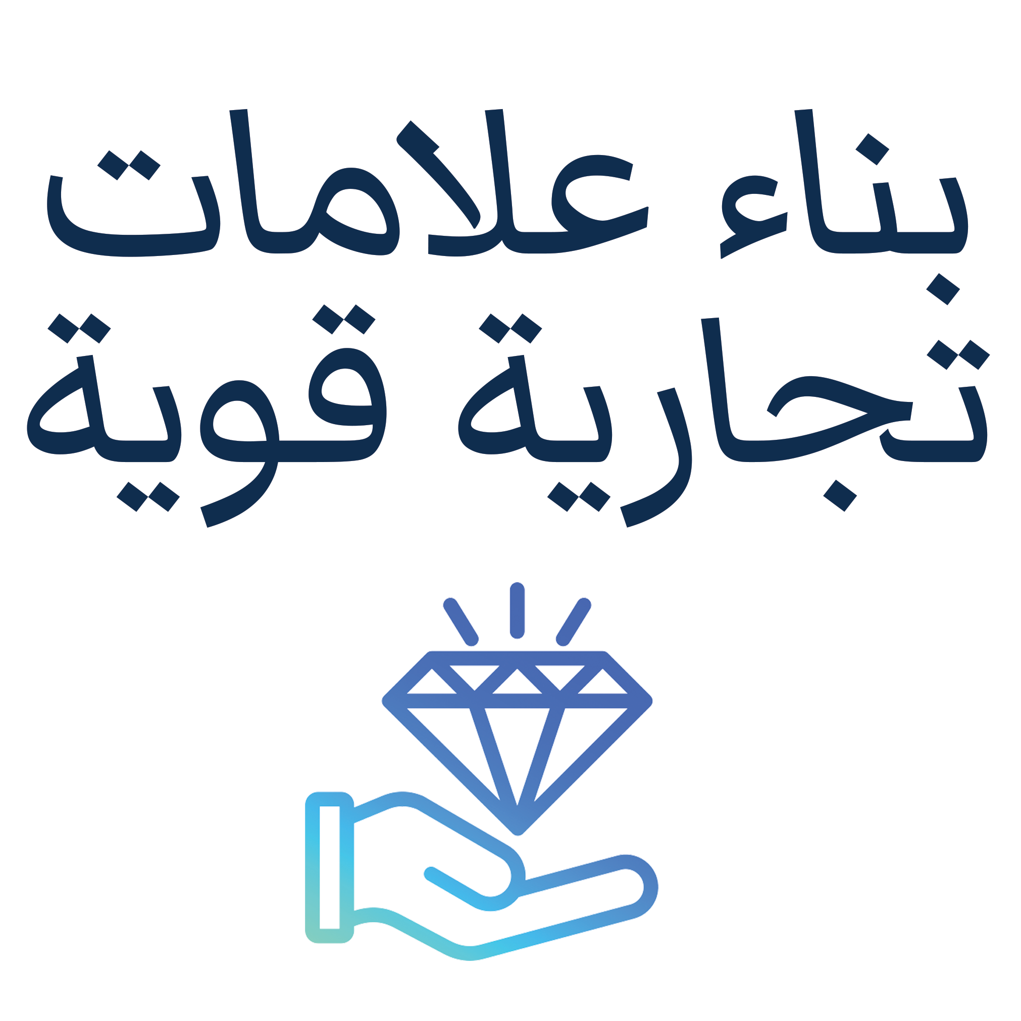 Strategic Brand Management Alexander Chernev