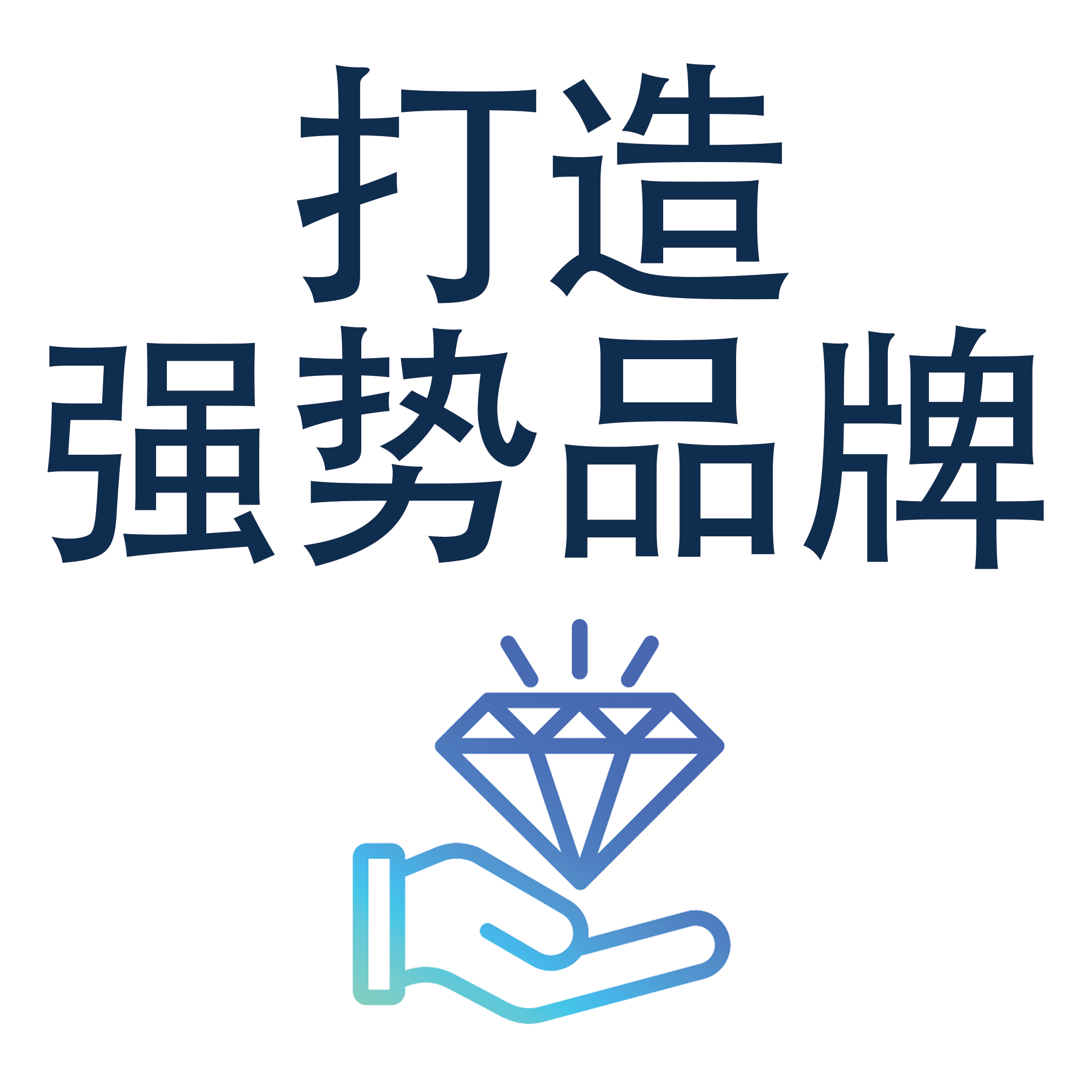 Strategic Brand Management Alexander Chernev