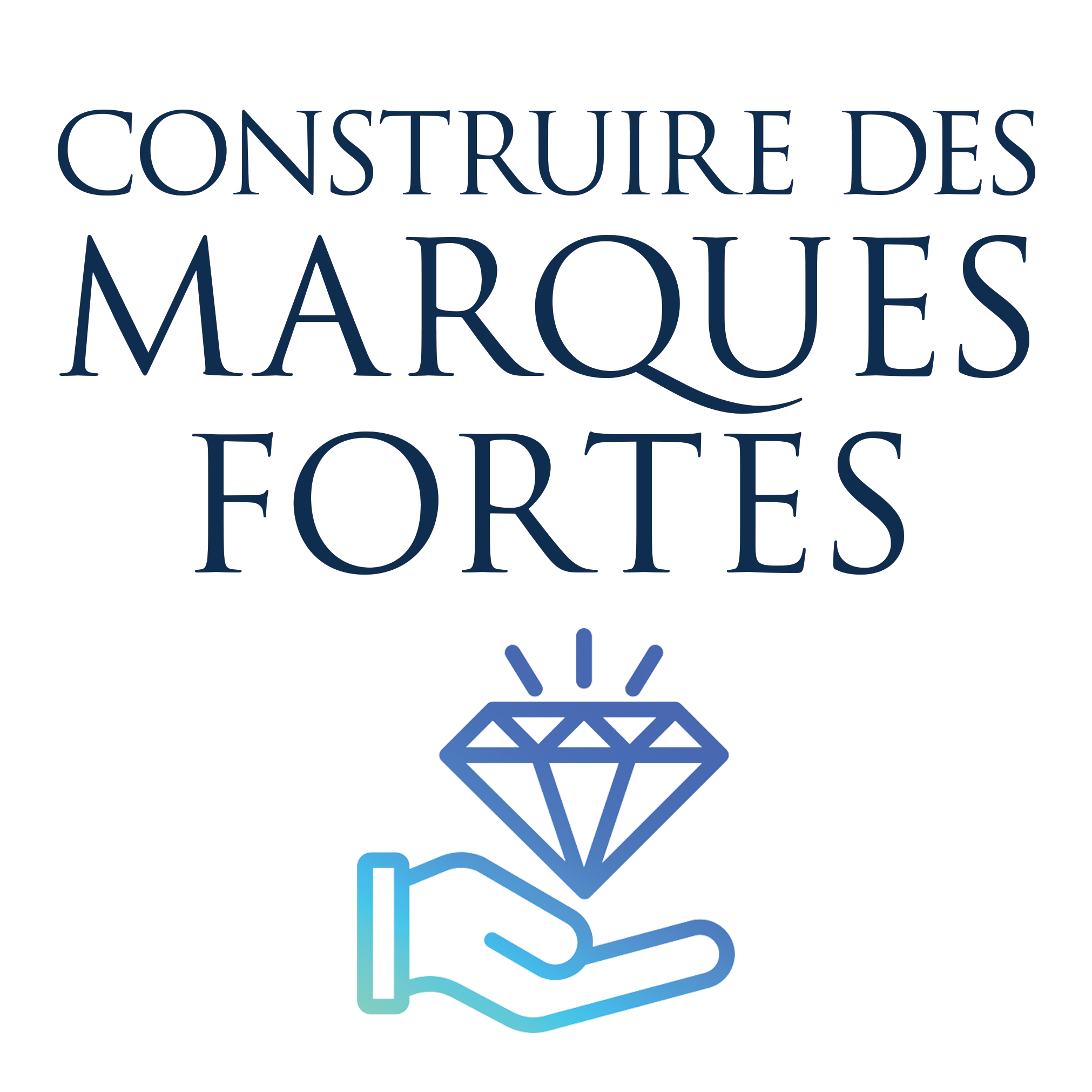 Strategic Brand Management Alexander Chernev